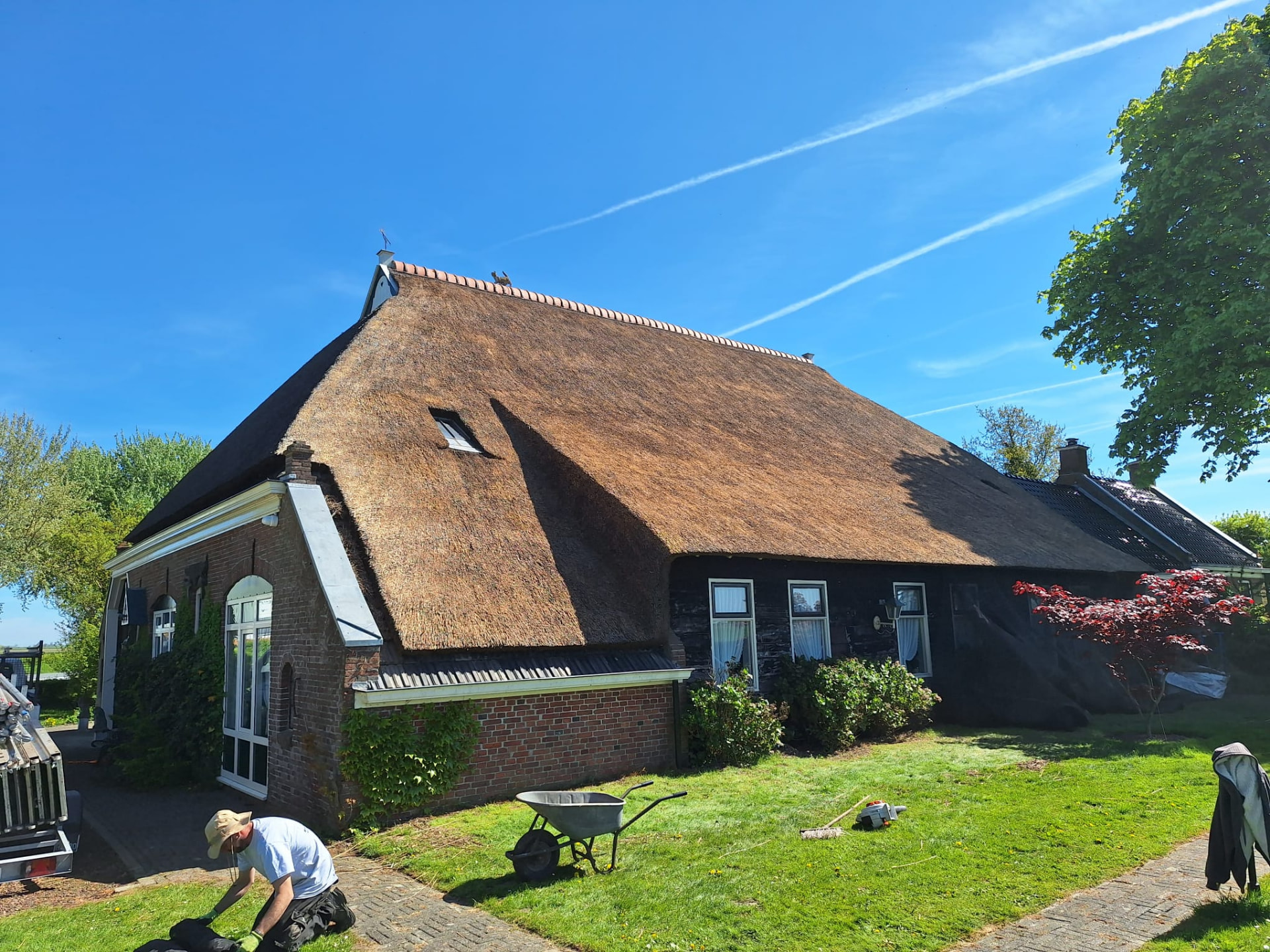 Boerderij met vernieuwd rieten dak in het voorjaar