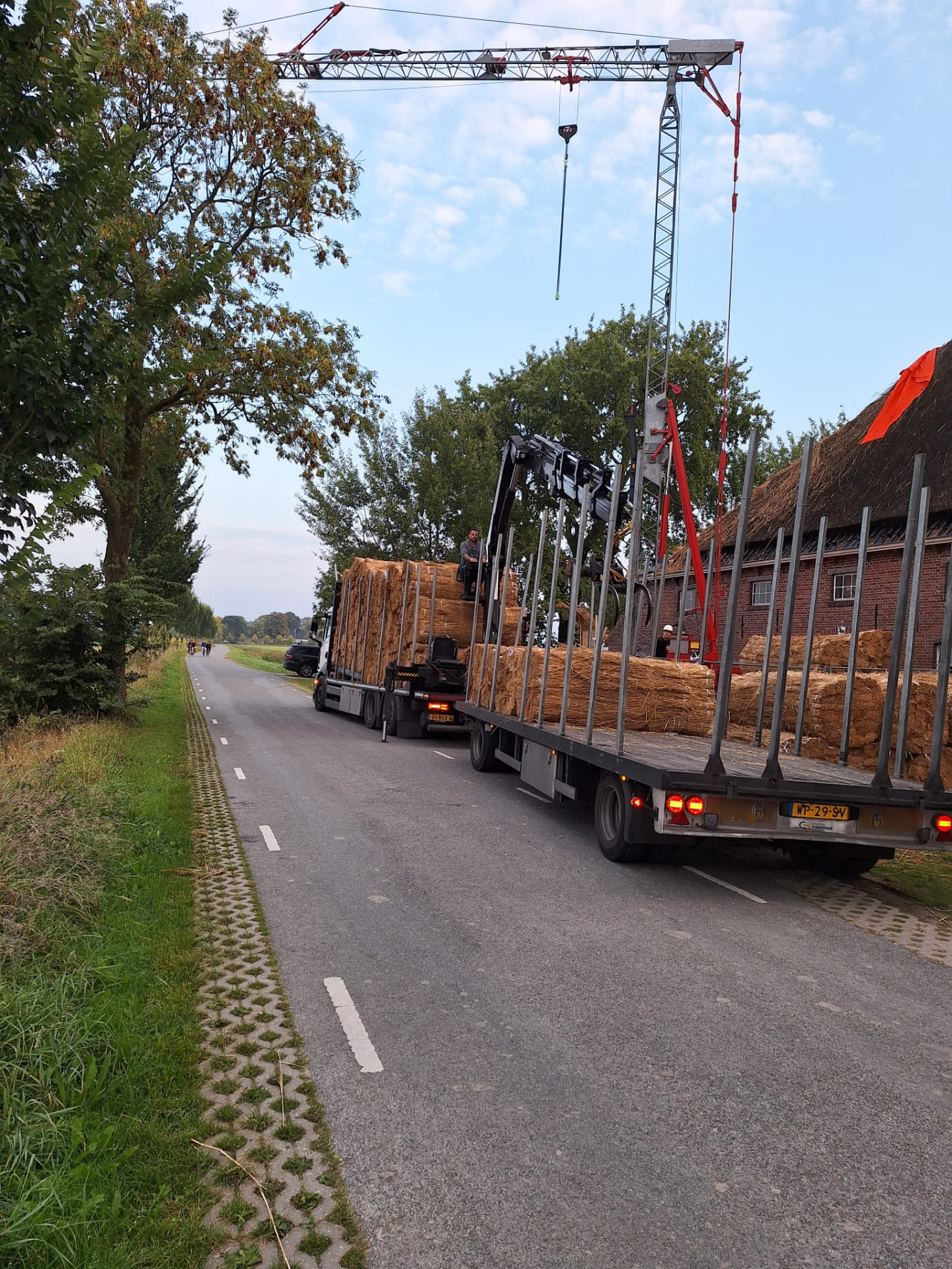 Aanvoer van rietbossen met vrachtwagen en kraan
